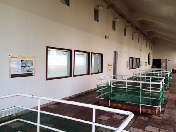 nuchi_marsu_factory_02