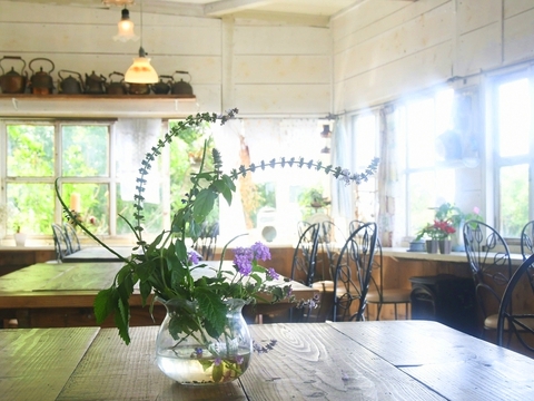 アンカフェ20181203sk10k