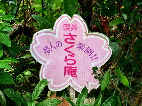 さくら庵20180712sk14k