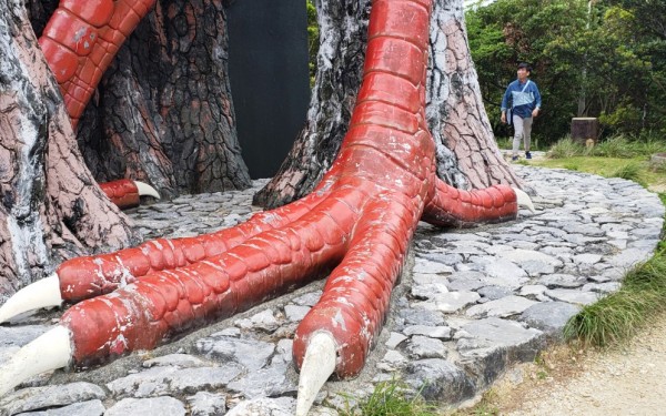 ヤンバルクイナ展望台(国頭村)