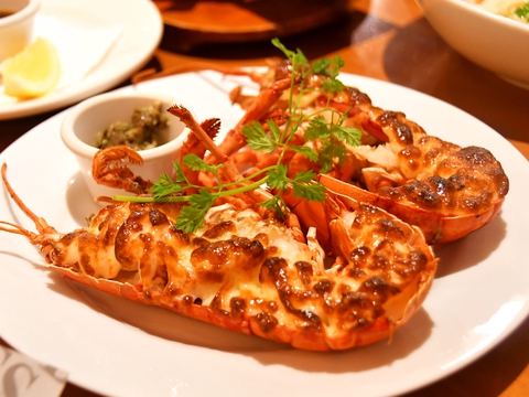 REDLOBSTER20190309sk4k