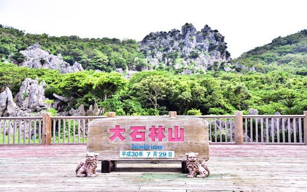 観光バスツアーで行ってみた！那覇発で沖縄美ら海水族館と辺戸岬・大石林山まで行ってみた！
