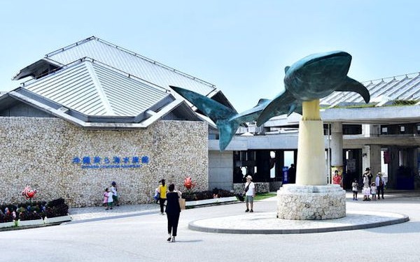 観光バスツアーで行ってみた!那覇発で沖縄美ら海水族館と辺戸岬・大石林山まで行ってみた!