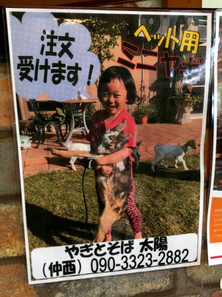 taiyo_yagiramen_pet_yagi