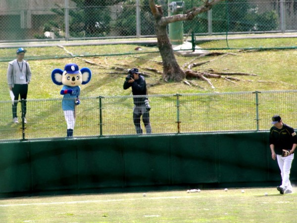 20200208_cd_doara_gaiya