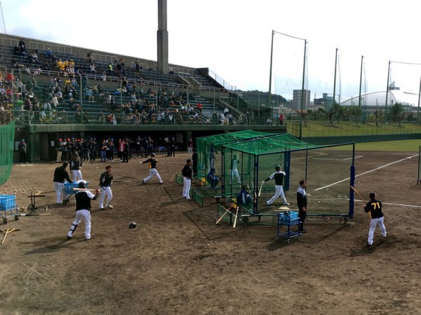 20200208_cd_tigers_02