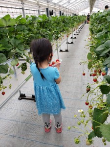 inbound2469260268458047516