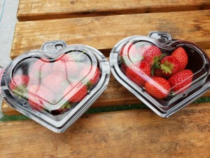 inbound8894302675738741833