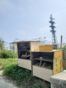 inbound3155865580851550170