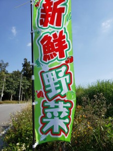 inbound6500647111658705338