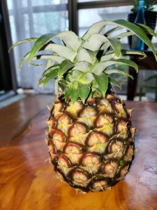 inbound4028785807428012858