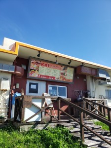 inbound4106392656270959124