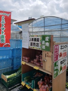 inbound4523553268448423880