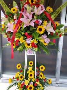 inbound5401567776767602574