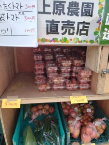 inbound6224504584371116323