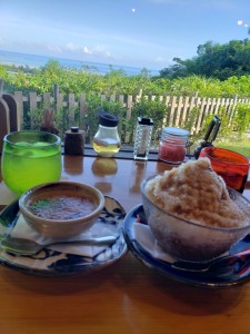 inbound8644415694920306758