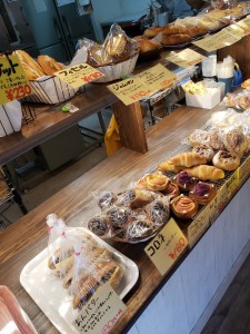 inbound8727615845874253036