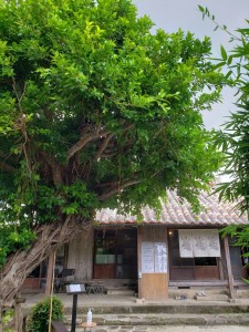 inbound1714738053491634243