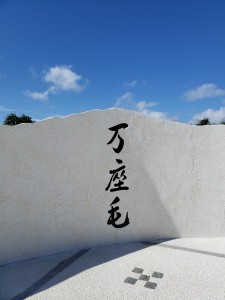 inbound5218988801918679597