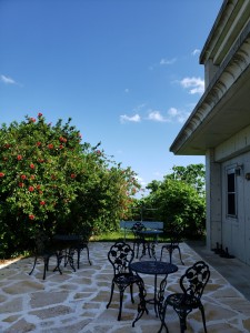 inbound6434267685123103074