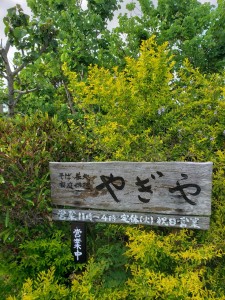 inbound7145854272027921058