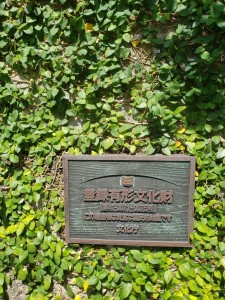 inbound8046457268640833610