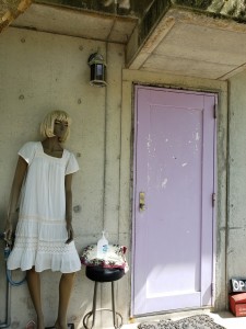 inbound8112841052405543742