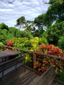 inbound3519792665092864538