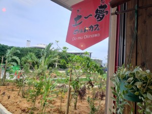 inbound1243140950348891184