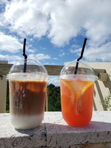 inbound3223621067162662897