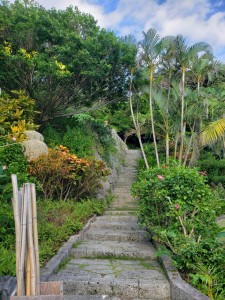 inbound1058178825878164668