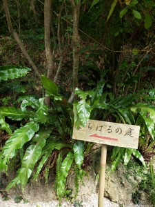 inbound3390031036919411565