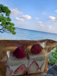 inbound7504350867117834308