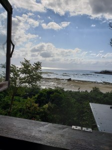 inbound795347775534614767