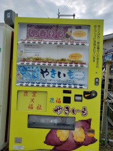 inbound7967562105010245554