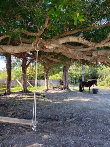 inbound5927509206670070255