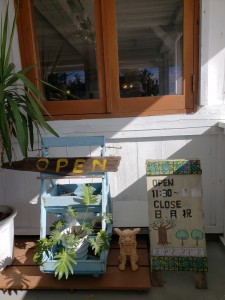 inbound6488727426579818907