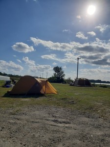 inbound8146232622273388561