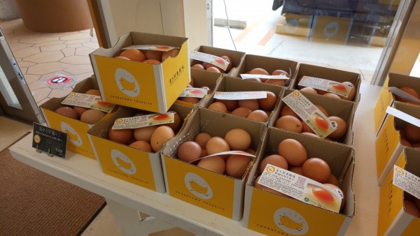 美ら卵養鶏場ラインナップその２