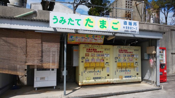 卵の自動販売機