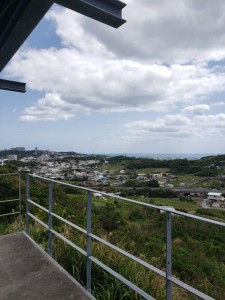 inbound3971338924307147985