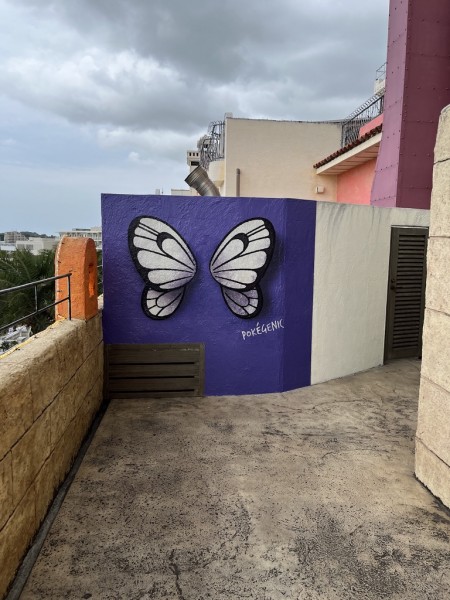 CB6CB46B-49F3-4433-A884-4CFEAA5A6CD0_1_105_c