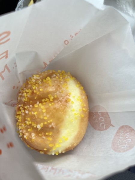 3C7F4CDB-6A1A-40E0-B69B-B1AD82E022BC_1_105_c