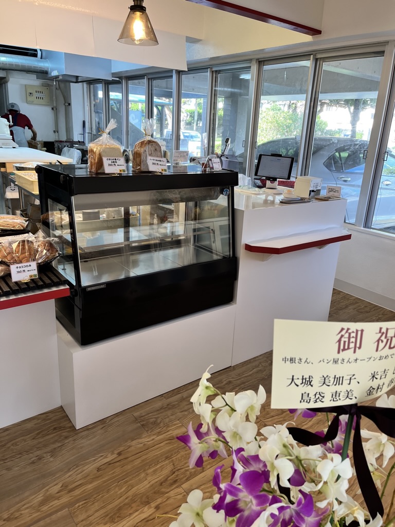 09DD0AAA-0EED-4D4A-96A1-77913A9116A8_1_105_c