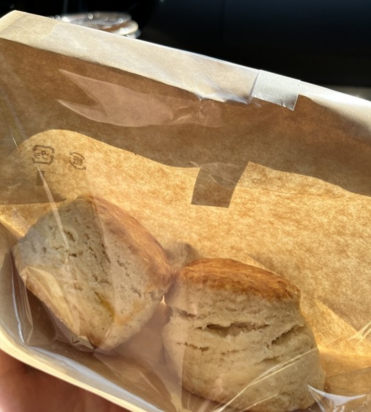 ボッチのプレーンスコーン