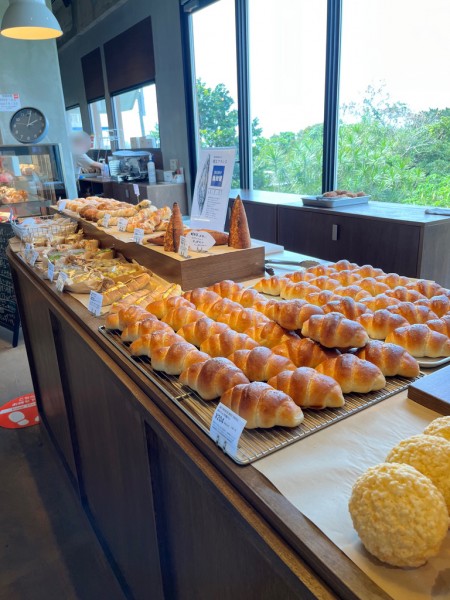 5CE3B455-585D-4862-87B5-99A71A76B469_1_105_c