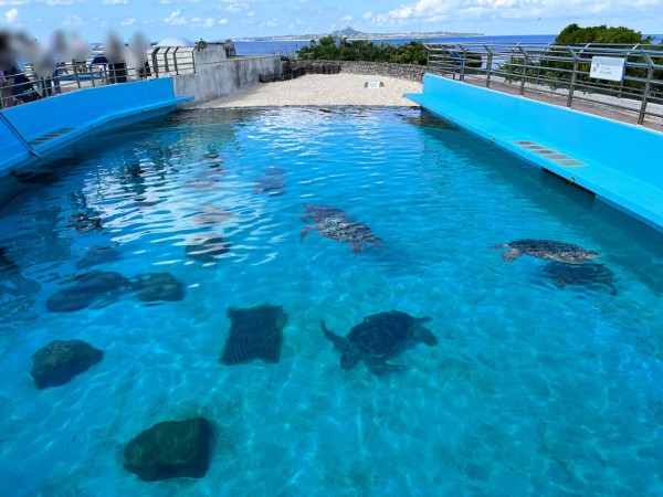 1F4C27DC-A3C8-4B8E-B0CD-5E38B8EF6A89_1_105_c