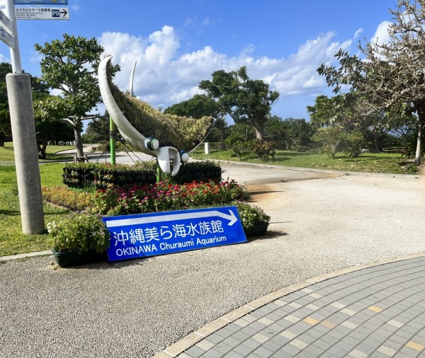 6816F39F-E4E6-495E-9910-28C688F12868_1_102_a