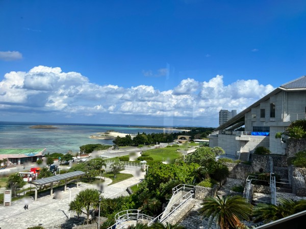 C122D205-113F-4BA7-AC49-FBB9F2F2D0D1_1_105_c