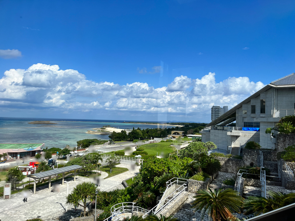 C122D205-113F-4BA7-AC49-FBB9F2F2D0D1_1_105_c